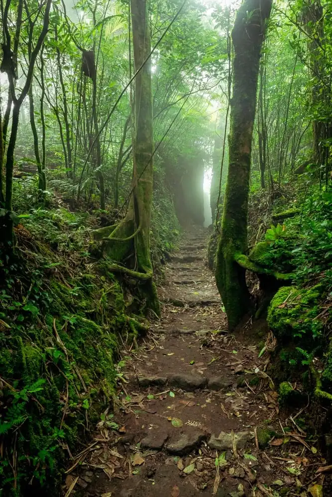 Naturaleza Mombacho